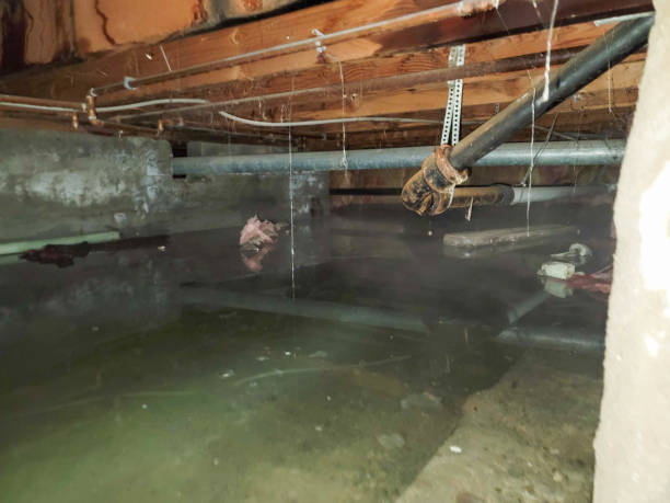 Best Water damage restoration near me  in Brisbane, CA