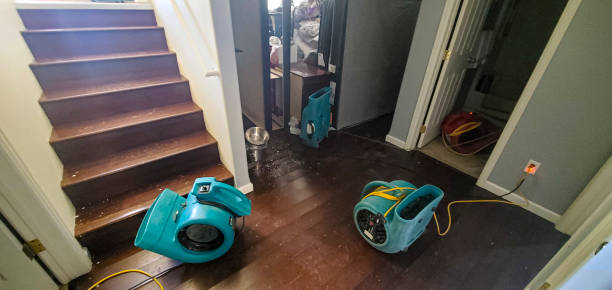 Best Water damage restoration near me  in Brisbane, CA