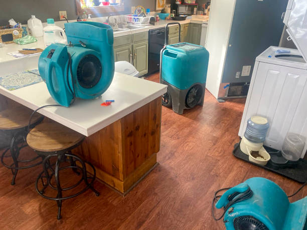 Best Flooded house restoration  in Brisbane, CA
