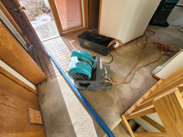 Best Water damage restoration near me  in Brisbane, CA