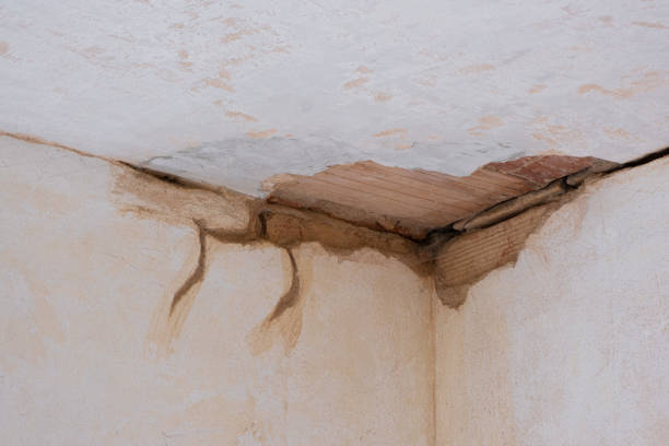 Best Water damage cleanup near me  in Brisbane, CA