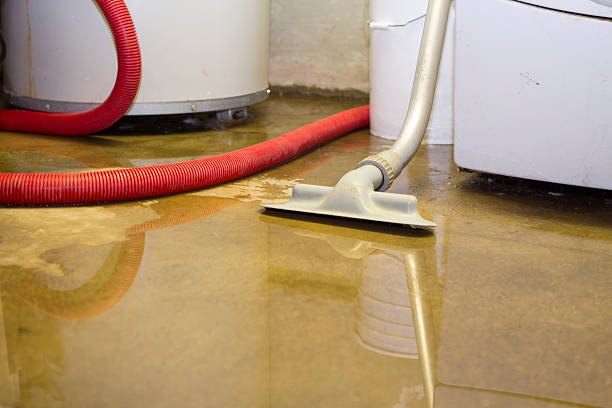 Best 24/7 water damage repair  in Brisbane, CA